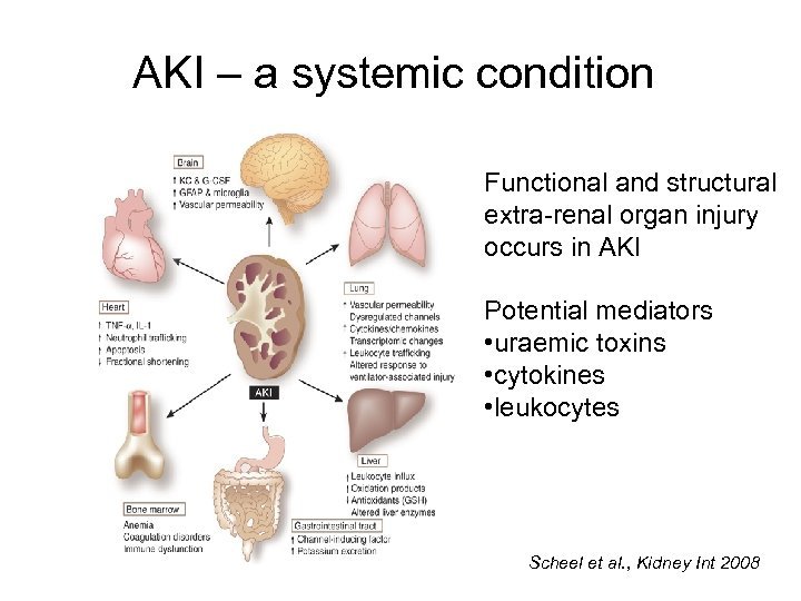 Aki Hayakawa in Your Name Explained Exploring Its Deeper Meanings